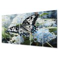 thumbnail image 2 of Designart "Butterfly Haven Blue Black I" Animals Metal Wall Décor Set, 2 of 5