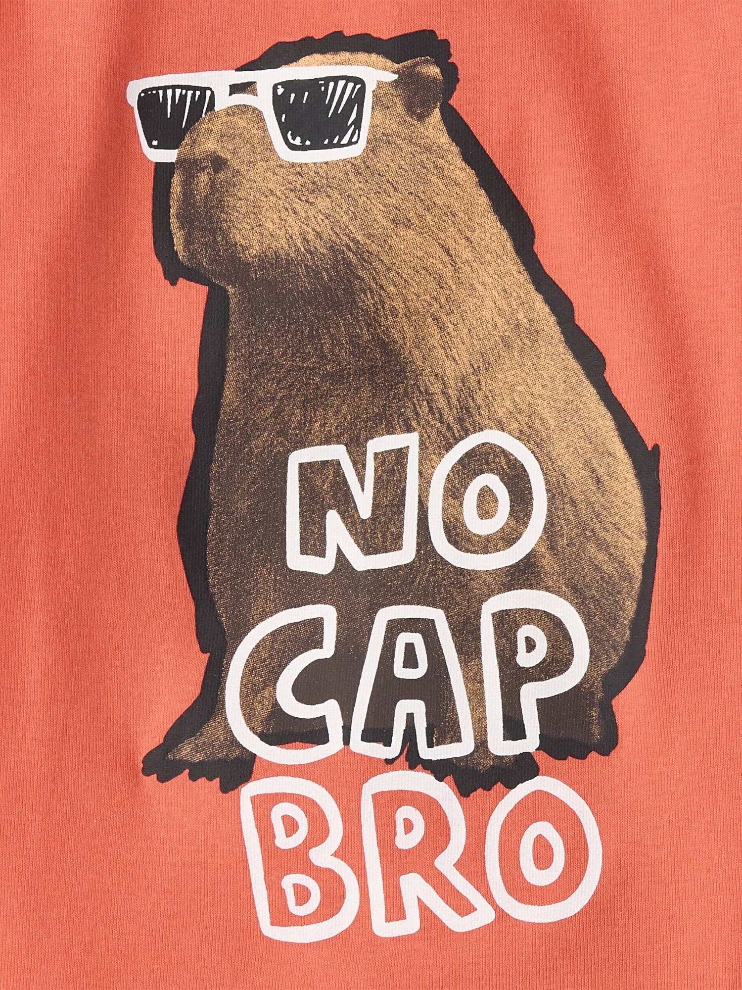 The Children's Place Boys Short Sleeve Capybara Snug Fit Cotton PJs, Sizes 4-16