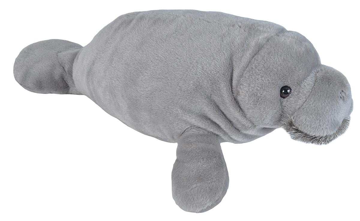 manatee plush