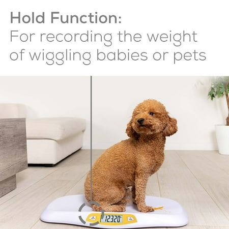 Beurer Digital Scale, Baby and Pet, Curved Weighing Platform, Weighs Up To 44 Lbs, BY80