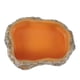 thumbnail image 4 of Comedero para reptiles, decoración de acuarios, comedero para anfibios y comida para reptiles. XS, 4 of 9