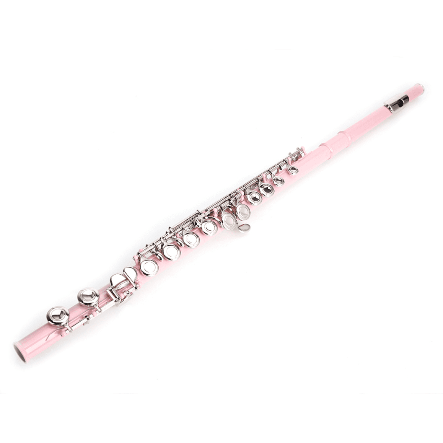 Hassch 16 Key Closed Hole C Flute with Case, Beginners Kit with Cloth, Screwdriver, Lubricant and Cleaning Rod for Learning, Pink