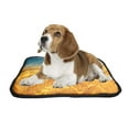 thumbnail image 2 of PKQWTM Golden Harvest under Blue Cloudy Sky on Sunset Pet Dog Cat Bed Pee Pads Mat Cushion Potty Dogs Blankets Crate Bed Kennel 14x18 inch, 2 of 3
