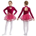 thumbnail image 2 of TSSOE Toddler Girls Sparkly Tutu Skirted Leotard Ballet Dance Dress Figure Skating Competition Hot Pink 6, 2 of 7