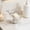 A, variant on Organizing and Storing in Clearance - Small Bear Soap Box Drains Layout Non Punching Home Affordable Luxurys Suction Cup Soap Box Wall Suction Cup Kitchen And Bathroom Storage Decoration