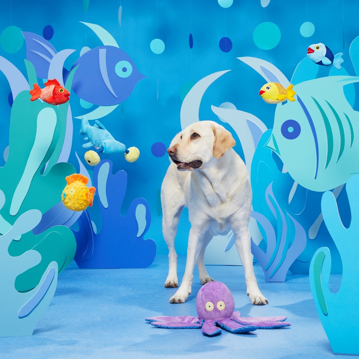 ollie the octopus dog toy