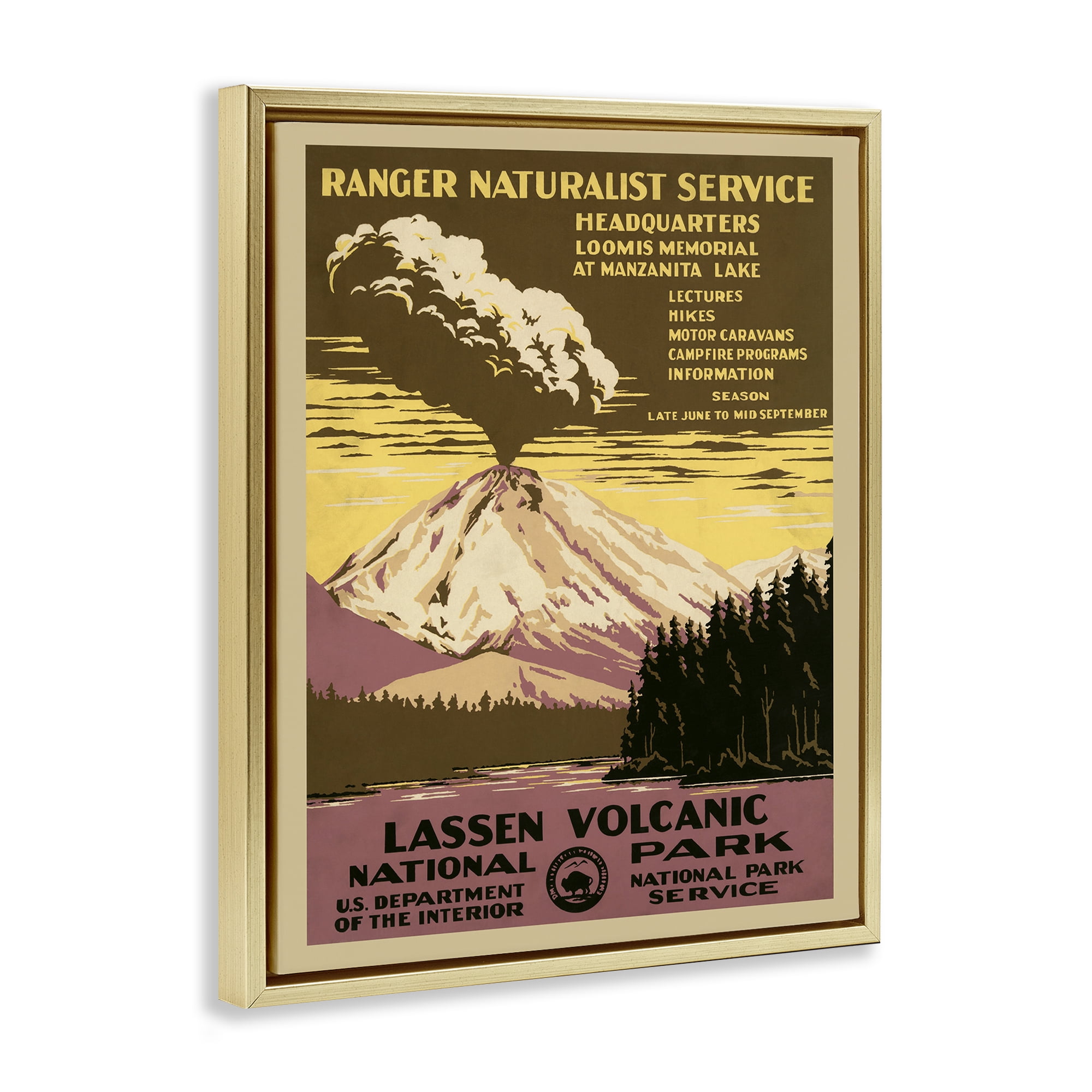 Stupell Industries Vintage National Park Landscape Painting Gold Floater Framed Art Print Wall Art, 17 x 21