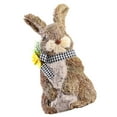thumbnail image 3 of CIMAXIC Easter 1Pc Hand-woven Rabbit Adornment Emulation Desktop Decor Easter Ornament Khaki,9.45"X7.09"X5.12", 3 of 4