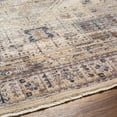 thumbnail image 5 of Hauteloom Iiona Living Room, Bedroom Area Rug - Brown, Gray - 2'7" x 4'11", 5 of 8
