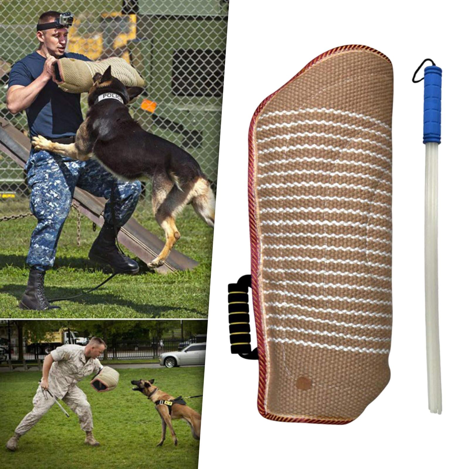Dog biting arm training hotsell