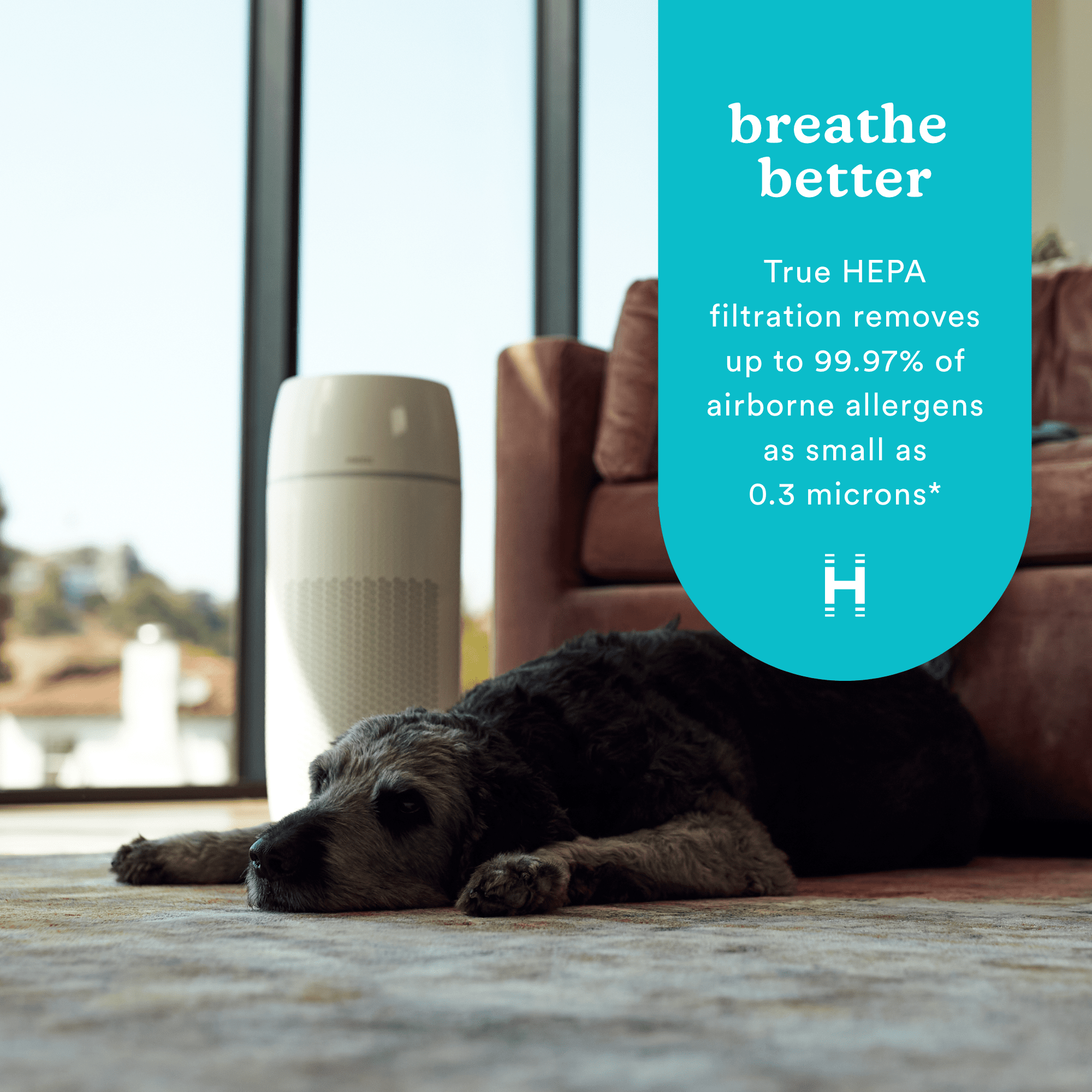 Total clean petplus air purifier deals