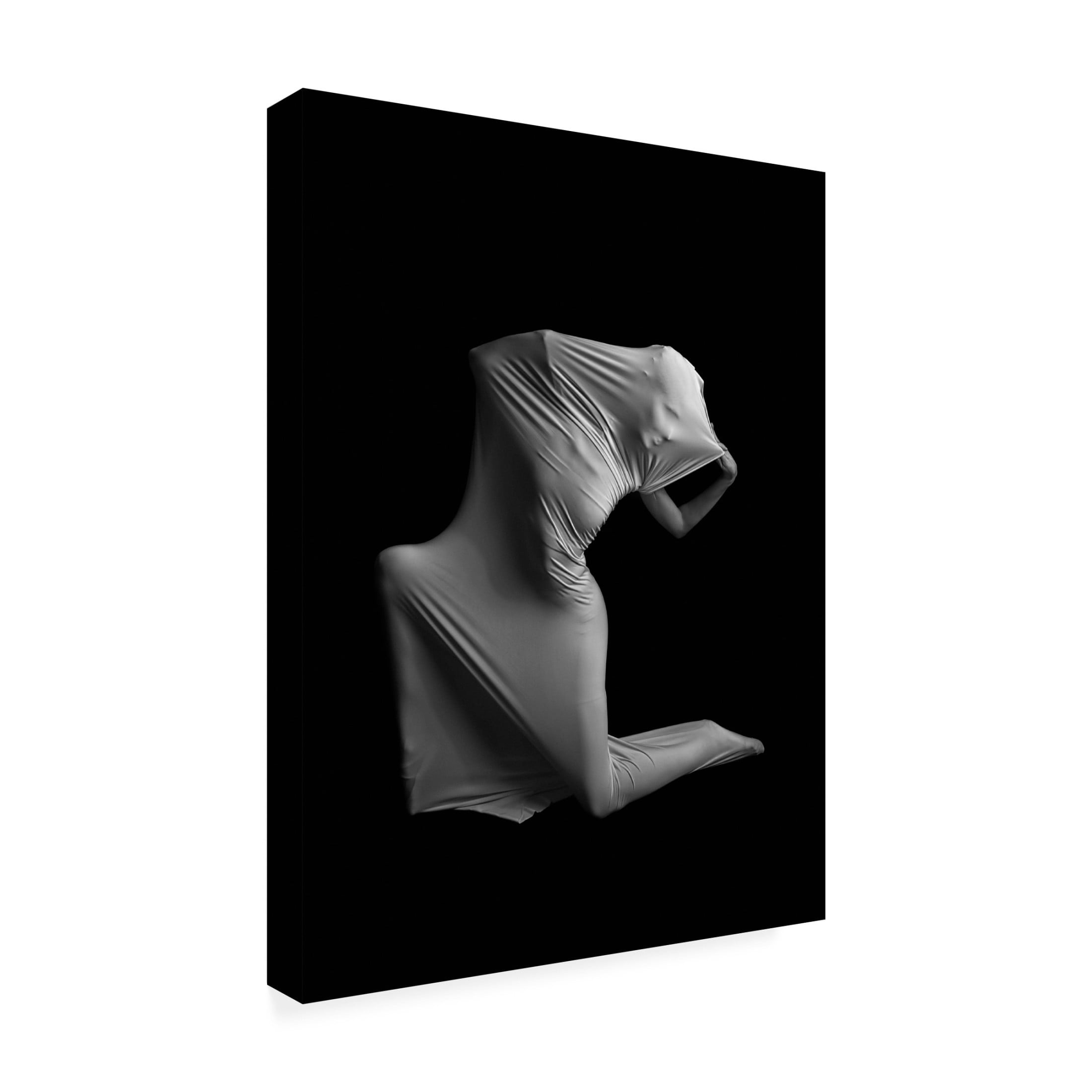 Trademark Fine Art Tali Stein  Harmony Canvas Wall Art