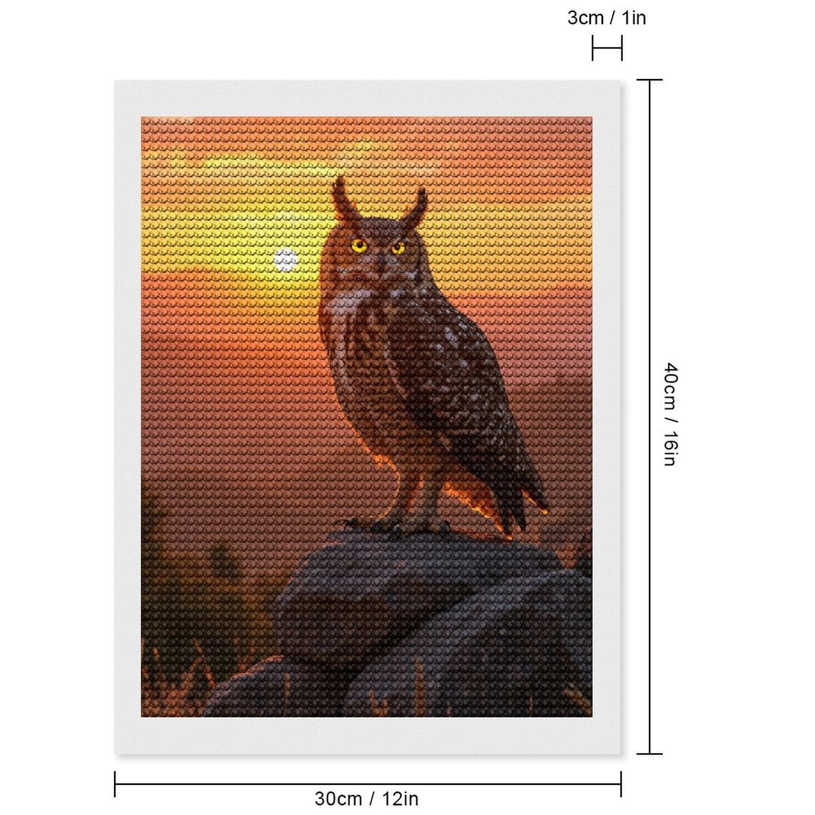 Diamond Art Kits for Adults, Owl Sunset Perched Rocks Scenic 5D Diamond Painting Kits for Adults Beginners, DIY Full Drill Diamond Painting, Gem Art and Crafts 12x16