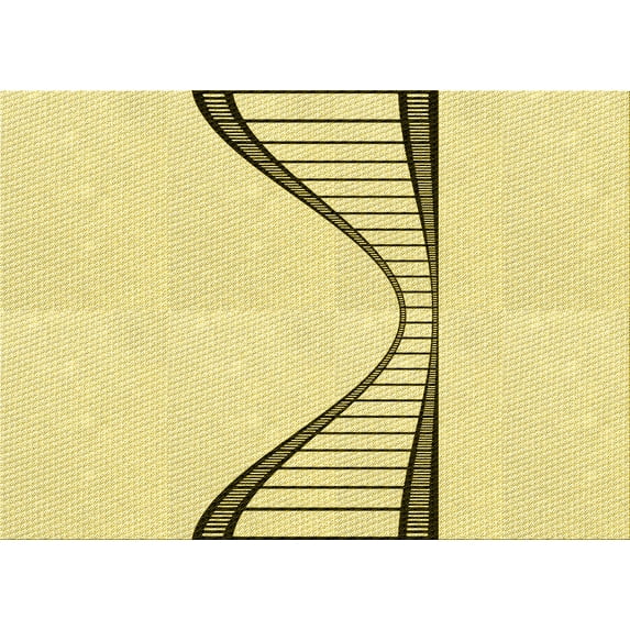 Ahgly Company Machine Washable Indoor Rectangle Transitional Sun Yellow Area Rugs, 5' x 8'
