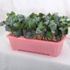 thumbnail image 4 of Maceta rectangular para hierbas, maceta de plástico para plantas de interior, para decoración del hogar y balcón, 4 of 5
