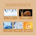 thumbnail image 5 of Wiyun Snail Collagen Firming Cream, Moisturizes Skin With High Moisture, Brightening, Light Wrinkling And Radiant Radiance, 5 of 6