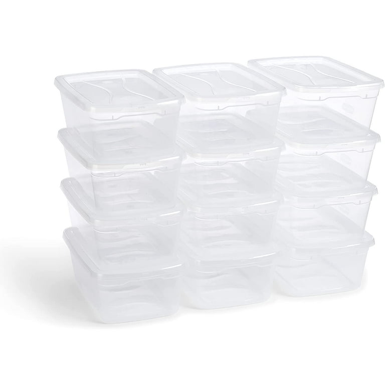 Rubbermaid Under the Bed Wheeled Storage Box, 68 Qt, Pack of 2, Plastic  Containers with Dual-Hinged Lids and Sturdy Wheels, Visible Organization  for