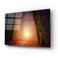 thumbnail image 2 of Epic Art 'The Unknown Path' by Epic Portfolio Acrylic Glass Wall Art, 16"x12", 2 of 8