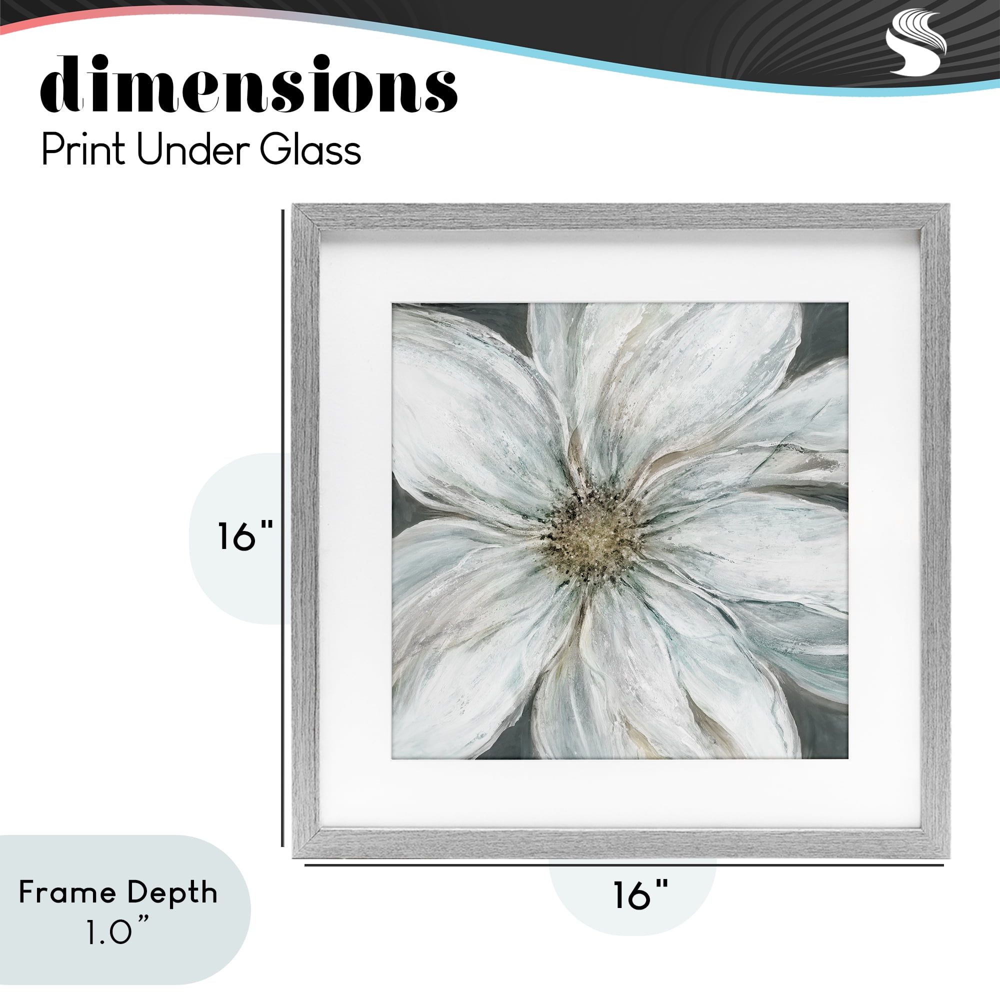 Stupell Industries Large White Flower Closeup Gray Framed Print Under Glass, design by Carol Robinson