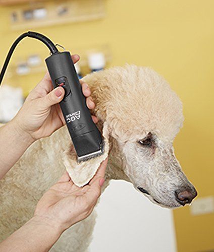 Andis 72630 Edge Detachable Dog Clipper Blade, Size 5FC - Stainless Steel, 1/4" Cut Length, Fits Andis & Oster Clippers