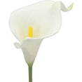 thumbnail image 2 of 10pcs Calla Lily Bridal Wedding Bouquet Lataex Real Touch Artificial Flower Home Party Decor (Yellow), 2 of 5