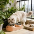 thumbnail image 5 of Stainless Steel Cat Food and Water Bowl with 10-Degree Tilt, Dual Bowl Feeder, Raised Rim Anti-Scatter, Non-Slip Base for Neck Comfort, Easy Clean for Cats Kittens, 5 of 5