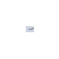thumbnail image 2 of CRL SBRL1 1/4" x 5/8" Bulk Rolled Neoprene Setting Block Material - 100 Foot Roll Black, 2 of 3