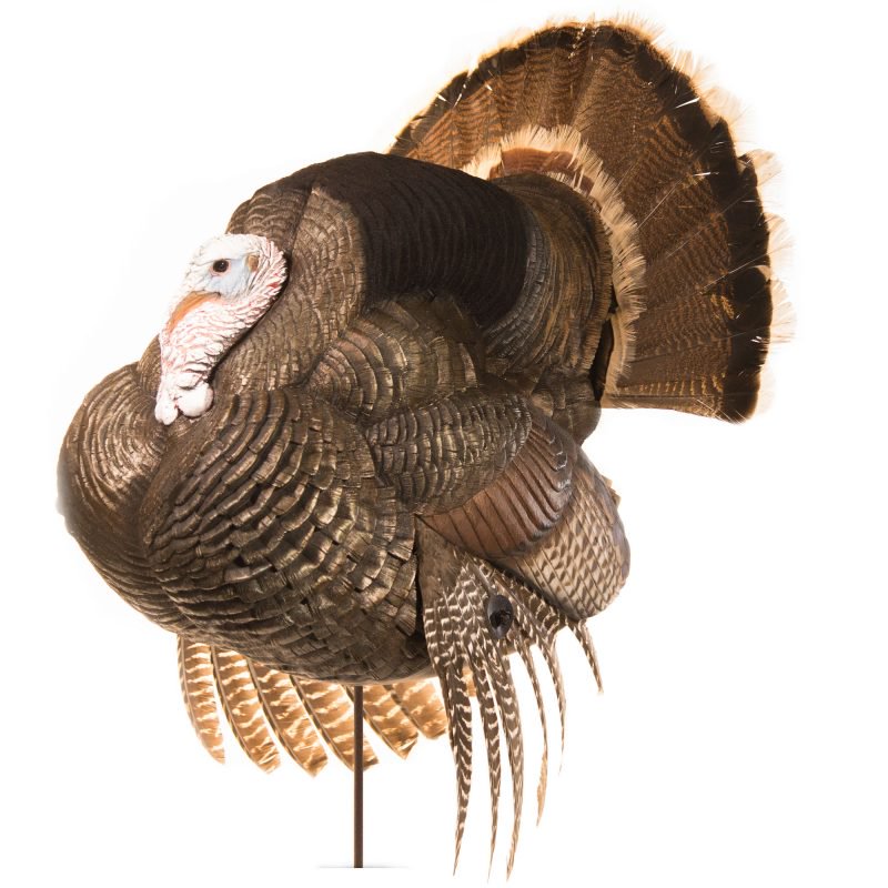 Dave Smith White Faced Full Strut Turkey Decoy