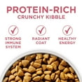thumbnail image 3 of Purina ONE Plus Dry Dog Food Skin & Health Formula, High Protein Rich Natural Salmon, 31.1 lb Bag, 3 of 11