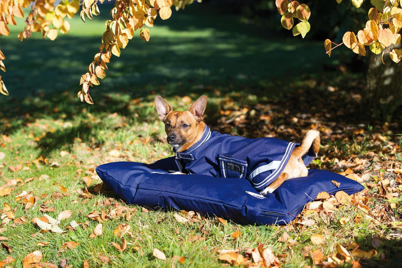 Amigo® Waterproof Dog Blanket (Atlantic Blue, XXL)