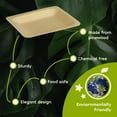 thumbnail image 4 of BambooMN 10.4" x 8.5" x 0.78" Disposable Wood Rectangle Plates/Dishes - 1,000 Pieces, 4 of 7