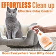 thumbnail image 2 of Spray eliminador de olores POOPH Kitty, 32 oz, paquete de 2 unidades para gatos, 2 of 6