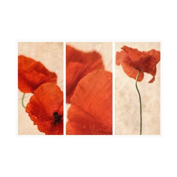 Canvas Wall Art - Nel Talen 'Three Red' Wall Art for Living Room, Bedroom, or Office Décor by Trademark Fine Art - 19 x 12 Inches