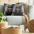 thumbnail image 5 of Ambesonne Cat Throw Pillow Cover 2 Pack, Whimsical Bad Kitty Mug Shot, 18", Umber and Pale Blue Grey, 5 of 7