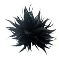 thumbnail image 3 of Broche de plumas vintage Accesorios de ropa Accesorios para el cabello Disfraces Tocados Decoración Broches Prendedores para boda Festival Negro Yinane Broche, 3 of 8