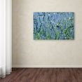 thumbnail image 3 of Trademark Fine Art "After the Rain" Canvas Art by Beata Czyzowska Young, 3 of 3