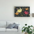 thumbnail image 3 of Trademark Fine Art 'Moonlight Garden Ii' Canvas Art by Albena Hristova, 3 of 3