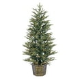 thumbnail image 2 of 4.5 ft. Pre Lit Clear UL Potted Natural Cut Eastern Pine, 2 of 5