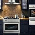 thumbnail image 4 of 36 in. Nebula Collection 3.8 cu. ft. Gas Range in Stainless Steel, 4 of 12
