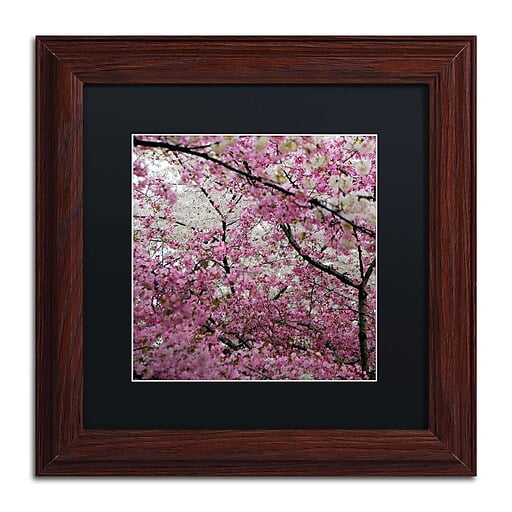 Trademark Fine Art "Cherry Blossoms 2014-3" Canvas Art by CATeyes, Black Matte, Wood Frame