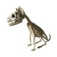 thumbnail image 4 of Estatua de esqueleto de animal de Halloween, escultura de Halloween, adorno de mesa, aterrador, Gato, 4 of 9