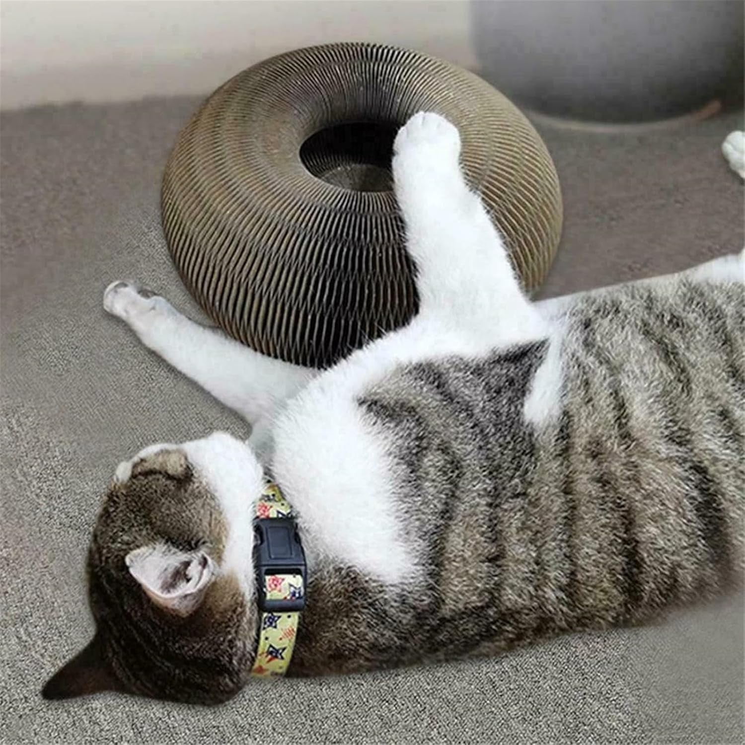 Marlene Kitty Kurlz, Kitty Kurlz Cat Toy, Kitty Curls Cat Toy, Magic Cat Scratching Board Toy, Interactive Cat Ball Toy, Foldable Cat Scratch Board Toy with Bell for Indoor Cats (1pc)