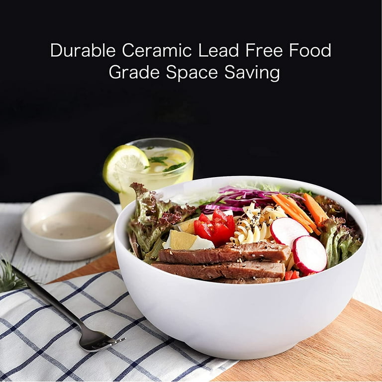 Yesland 2 Pack Porcelain Angled Serving Bowls - 26 oz White Salad Bowls -  Ceramic Pasta Bowls for Cereal, Soup, Salad, Rice, Prep