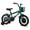 Green, variant on Rully 16 inch Dinosaur Kids Bike for Boys 4-7 Years, Bicycle with Training Wheels, Basket & Coaster Brake, Green