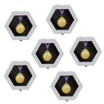 thumbnail image 1 of Estuche expositor BiJun para medallas hexagonal, 12 x 12 x 3,5 cm, 6 unidades, 1 of 6