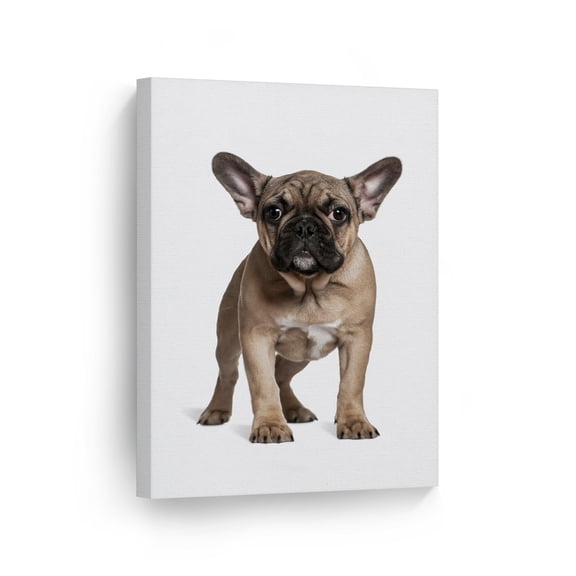 Smile Art Design Portrait of Cute French Bulldog Puppy Standing Animal Canvas Wall Art Print Pet Owner Dog Lover Mom Dad Gift Living Room Bedroom Kids Baby Nursery Room Decor Ready to Hang - 36x24