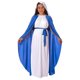 thumbnail image 1 of Disfraz de Morph Virgin Mary para niños, Halloween, talla M, 1 of 3