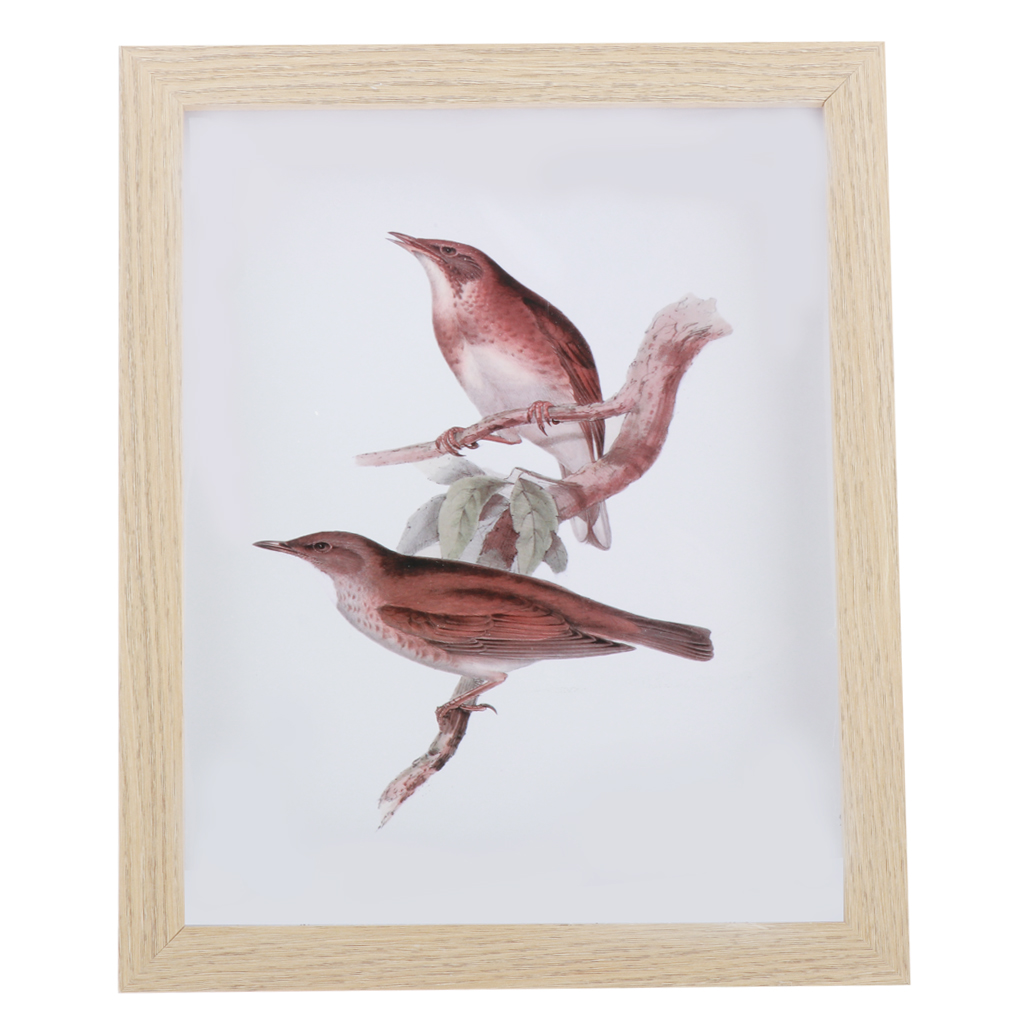 Wood Photo/Picture Frame Glass Wooden Plant Specimen Holder Home