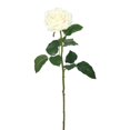 thumbnail image 1 of Tige Florale Rose-Crème Toucher Réel - 26 Po. - Lot de 3, 1 of 1