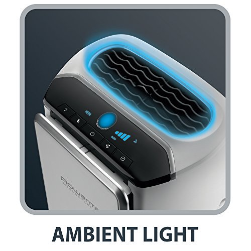 rowenta 7211001959 pu4020u2 air purifier, 116 sq ft, white Walmart